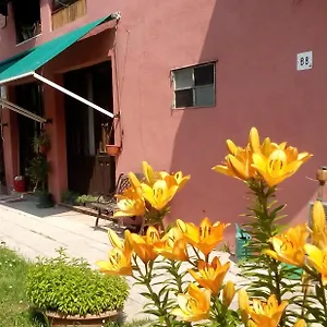 Ecogarden With Campsite